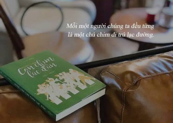 “Đừng làm con chim lạc đàn” mang đến bức tranh tổng thể của quá trình cố gắng, nỗ lực không ngừng để tìm kiếm được công việc yêu thích của mỗi người. 